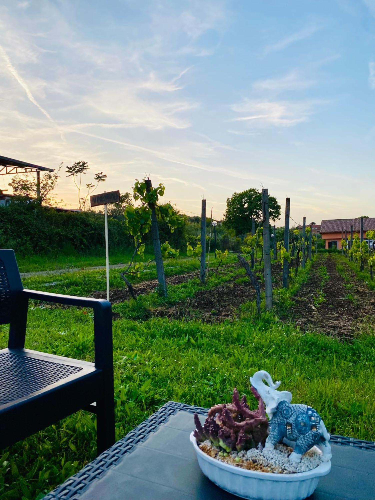 Ferienhaus Bubu, Country-chic